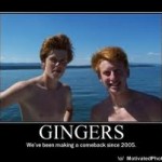 Gingers Gingers